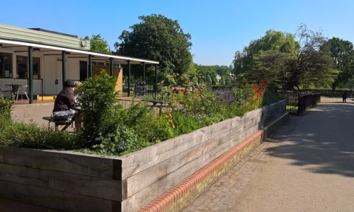 Oak Sleeper Planter. Hampstead Heath, London
